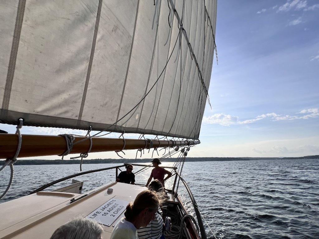 Setting sail in the Belfast bay